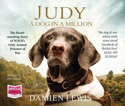 Judy: A Dog in a Million - Damien Lewis