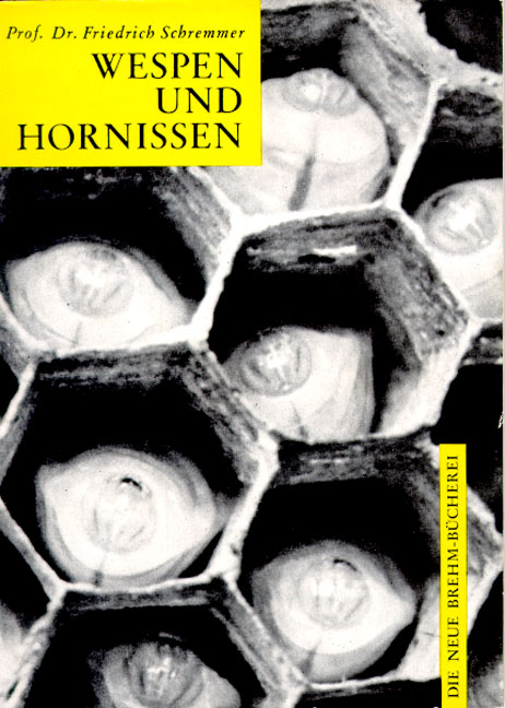 Wespen und Hornissen - Friedrich Schremmer