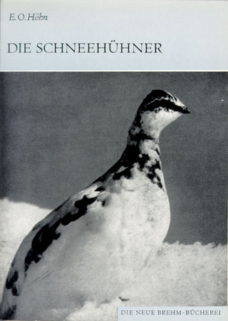Die Schneehühner - Otto Höhn