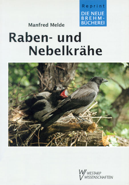 Raben- und Nebelkrähe - Manfred Melde