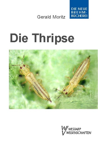 Thripse ? Fransenflügler, Thysanoptera - Gerald Moritz; Gerald Moritz