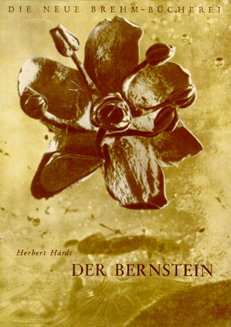Der Bernstein - Herbert Hardt