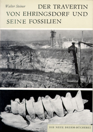 Der Travertin von Ehringsdorf und seine Fossilien - Walter Steiner