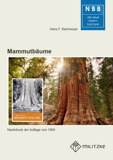 Mammutbäume - Hans F Kammeyer