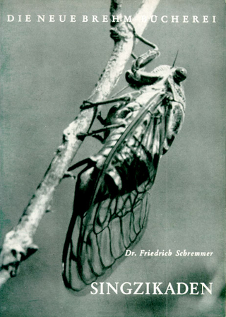 Singzikaden - Friedrich Schremmer