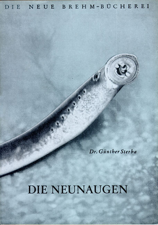 Die Neunaugen - Günther Sterba