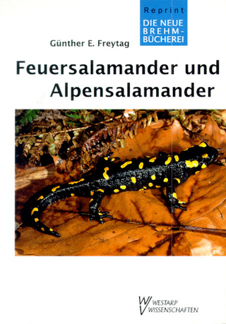 Feuersalamander und Alpensalamander - Günther E Freytag