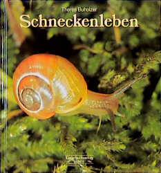 Schneckenleben - Theres Buholzer