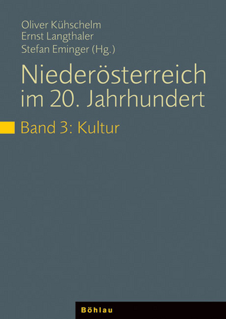 Niederösterreich im 20. Jahrhundert / Niederösterreich im 20. Jahrhundert - Oliver Kühschelm; Ernst Langthaler; Stefan Eminger