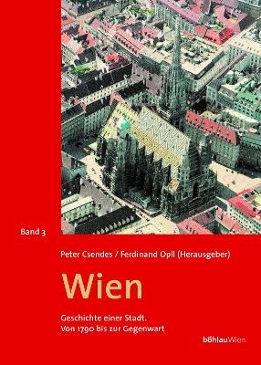 Wien. Geschichte einer Stadt / Wien - Geschichte einer Stadt, Band 3 - 