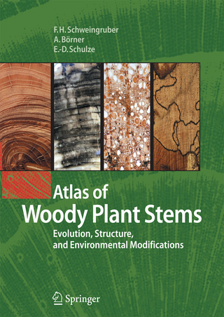 Atlas of Woody Plant Stems - Fritz Hans Schweingruber; Annett Börner; Ernst-Detlef Schulze