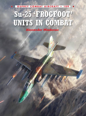 Su-25 'Frogfoot' Units In Combat - Alexander Mladenov