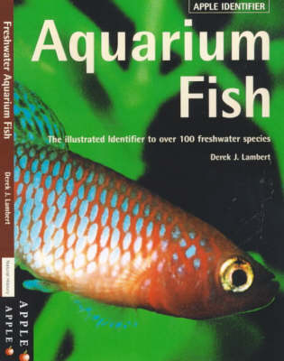 Aquarium Fish - Derek Lambert