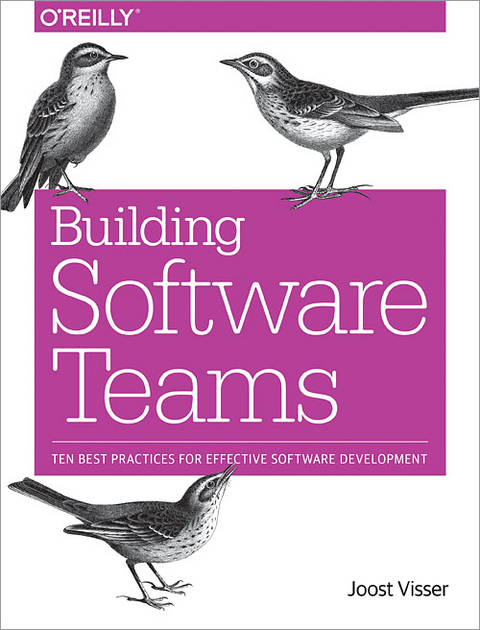 Building Software Teams -  Zeeger Lubsen,  Sylvan Rigal,  Joost Visser,  Gijs Wijnholds