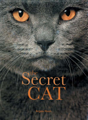The Secret Cat - Angela Rixon