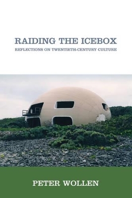 Raiding the Icebox - Peter Wollen