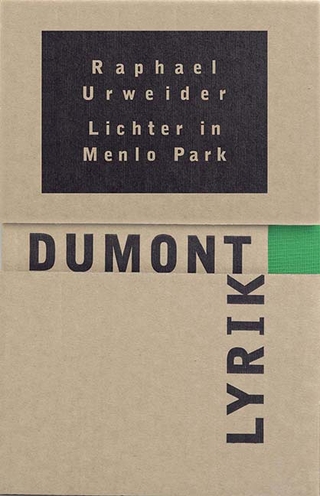 Lichter in Menlo Park - Raphael Urweider