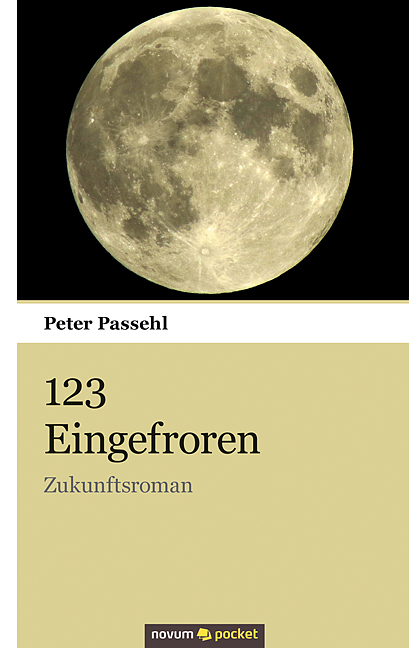 123 Eingefroren - Peter Passehl