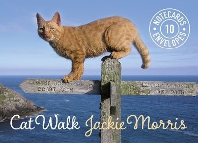 Cat Walk Notecards - Jackie Morris