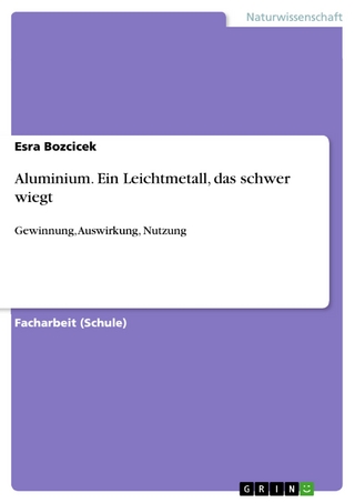 Aluminium. Ein Leichtmetall, das schwer wiegt - Esra Bozcicek