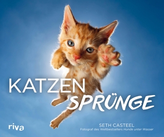 Katzensprünge - Seth Casteel