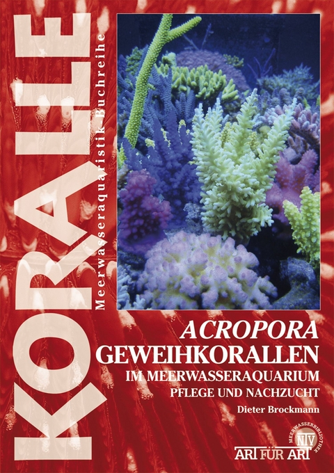 Acropora-Geweihkorallen im Meerwasseraquarium - Dieter Brockmann
