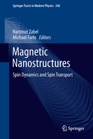 Magnetic Nanostructures - Hartmut Zabel; Michael Farle