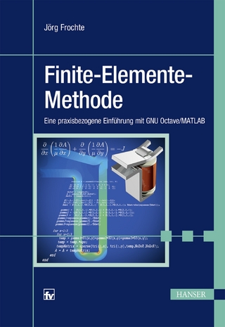 Finite-Elemente-Methode - Jörg Frochte