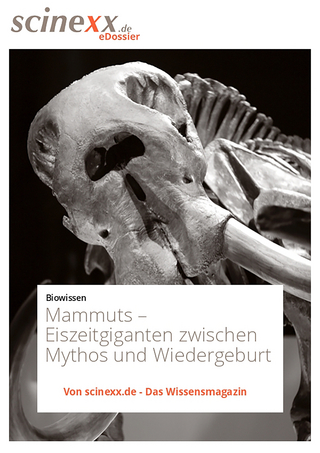 Mammuts - Dieter Lohmann