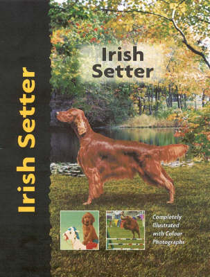 Irish Setter - Margaret Williams