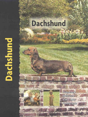 Pet Love Dachshund - I Schwartz