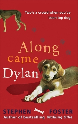 Along Came Dylan: Two's a Crowd When You've Been Top Dog - Stephen Foster, THE ESTATE OF STEPHEN FOSTER