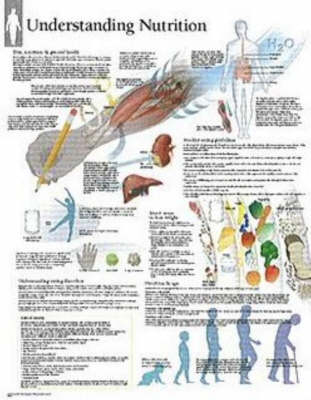 Understanding Nutrition Laminated Poster -  Scientific Publishing