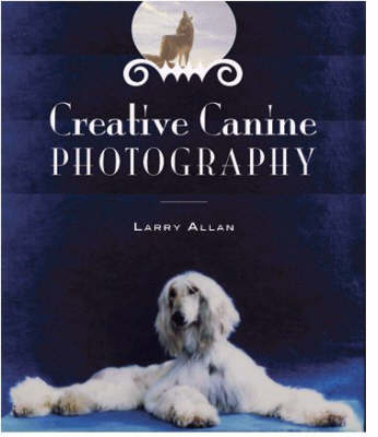 Creative Canine Photography - Larry Allan