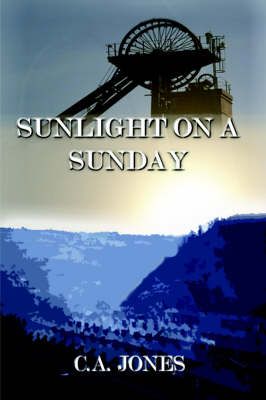 Sunlight on A Sunday - Allan Jones