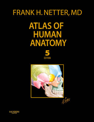 Frank Netter Anatomy Book