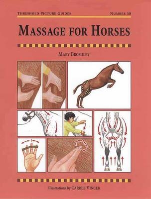 Massage for Horses - Mary W. Bromiley