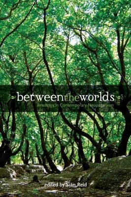 Between the Worlds - Sian Reid