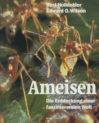 Ameisen - Bert Hölldobler; Edward O. Wilson
