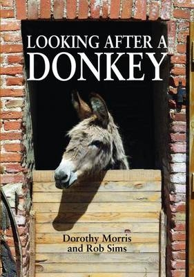 Looking After a Donkey - Dorothy Morris, Rob Sims