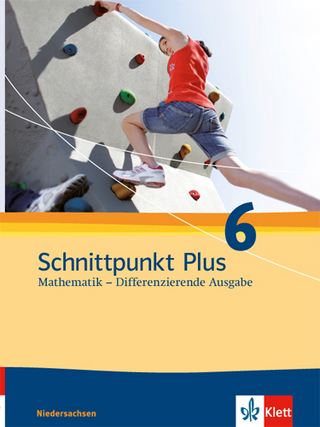 Schnittpunkt Plus Mathematik 6. Differenzierende Ausgabe Niedersachsen