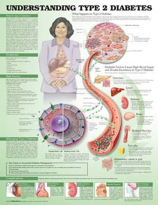 Understanding Type 2 Diabetes Anatomical Chart -  Anatomical Chart Company, Jeff Unger