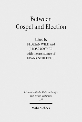 Between Gospel and Election - Frank Schleritt; J. Ross Wagner; Florian Wilk
