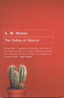 Safety of Objects - A M Homes