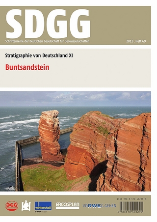 Stratigraphie von Deutschland XI: Buntsandstein - Jochen Lepper; Heinz-Gerd Röhling