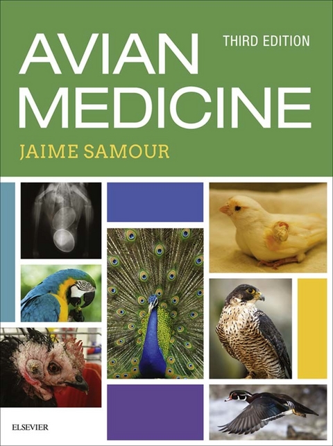 Avian Medicine -  Jaime Samour