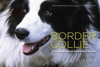 Border Collie - Neville Turner