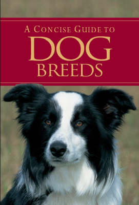 A Concise Guide to Dog Breeds
