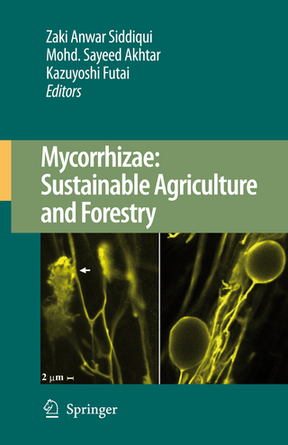 Mycorrhizae: Sustainable Agriculture and Forestry - Zaki Anwar Siddiqui; Mohammad Sayeed Akhtar; Kazuyoshi Futai