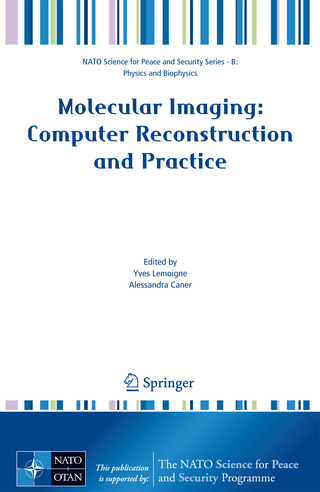 Molecular Imaging: Computer Reconstruction and Practice - Yves Lemoigne; Alessandra Caner